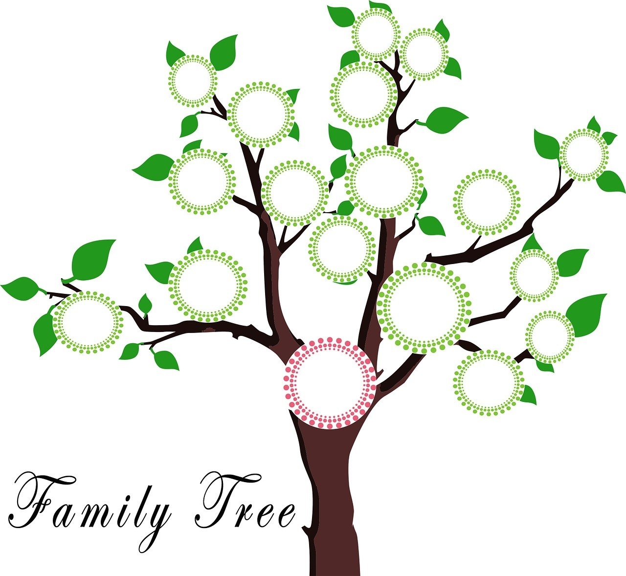 drzewo genealogiczne wzór